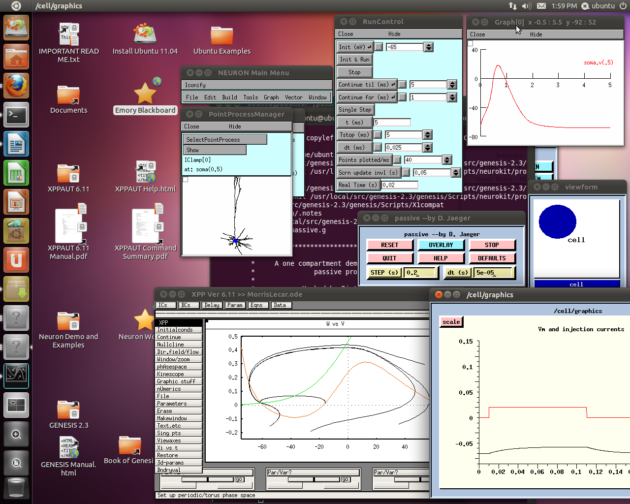 sandbox/screenshot-genesis-neuron-xpp.png
